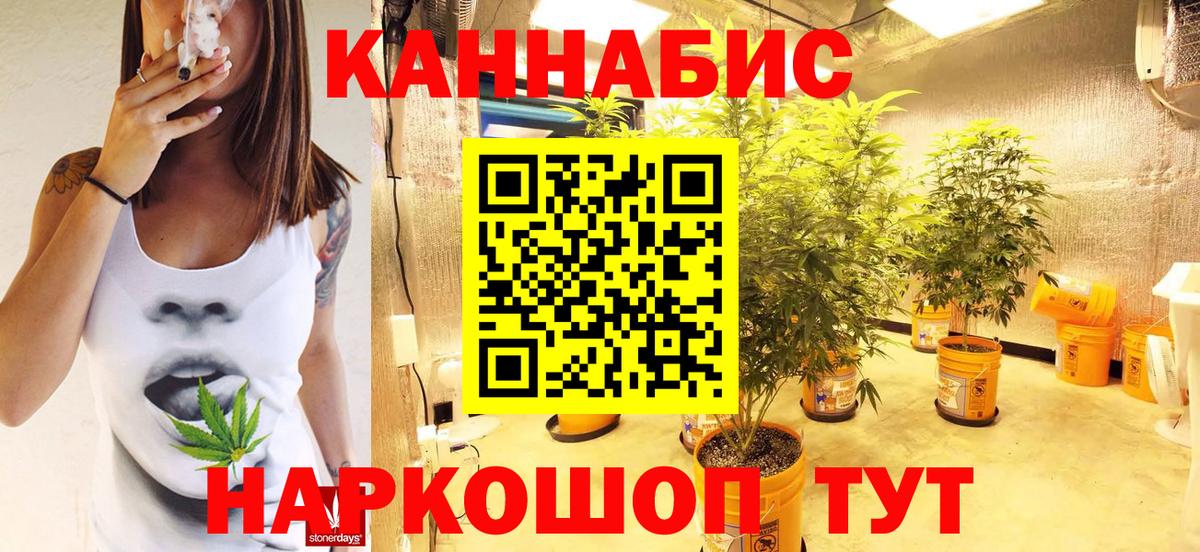 Каннабис тримм  Вход с VPN  Таганрог  Канабис план  Марихуана VHQ 